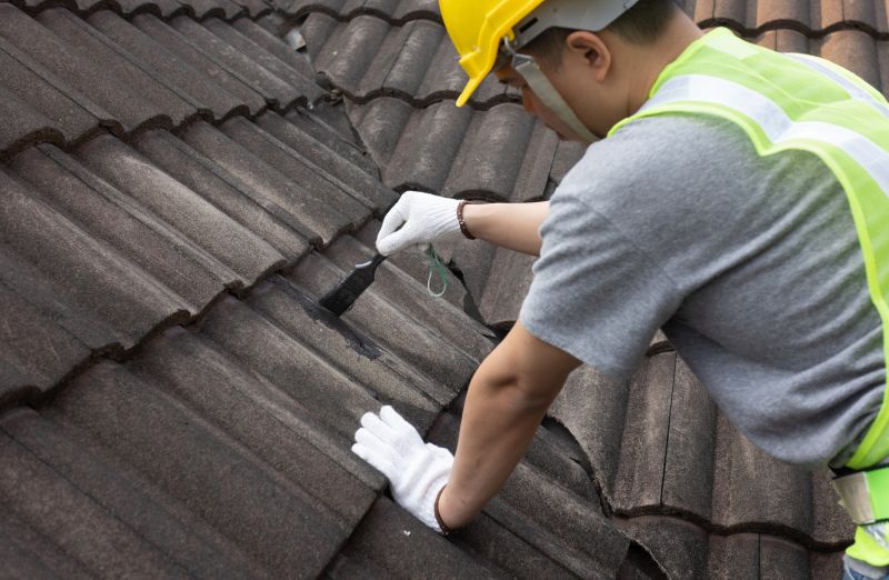 Local Roofing Specialists
